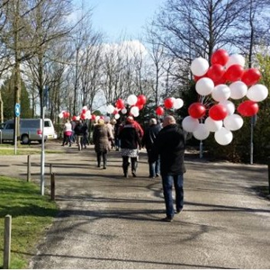 Uitvaartballonnen 50 stuks Uitvaartballonnen 50 stuks